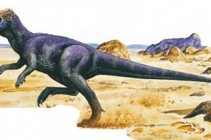 Wannanosaur